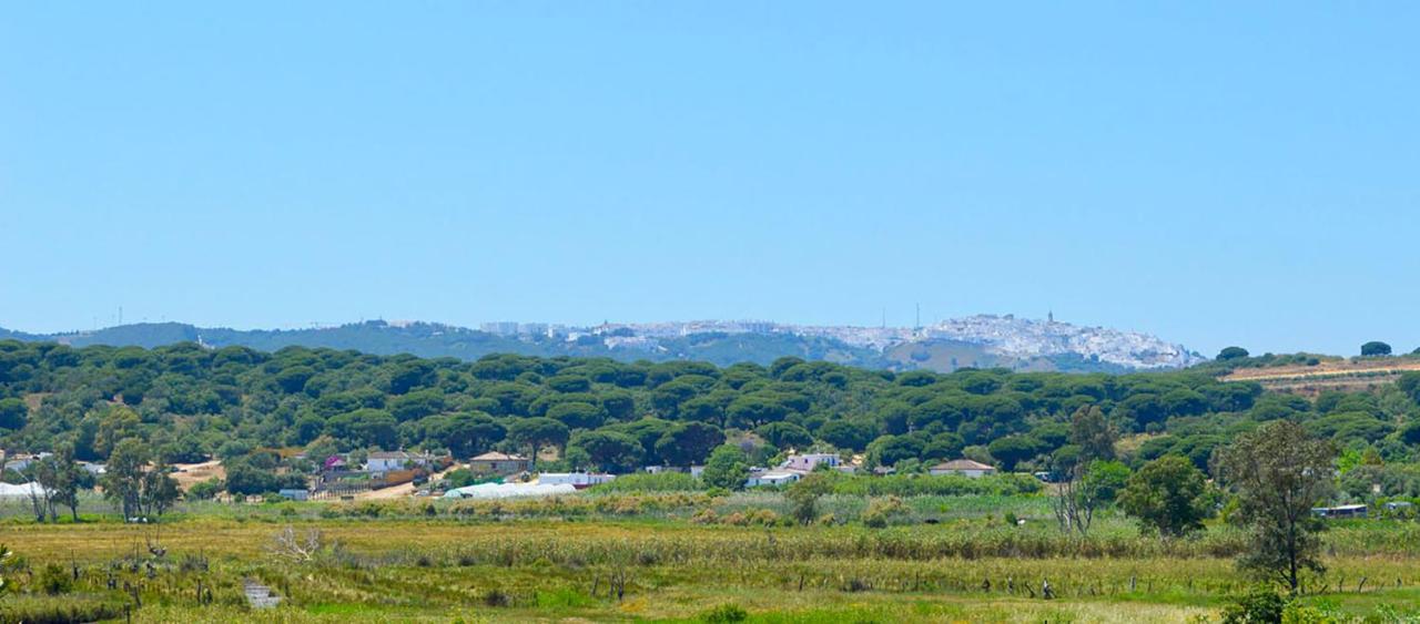 Poniente Apartment Barbate Bagian luar foto